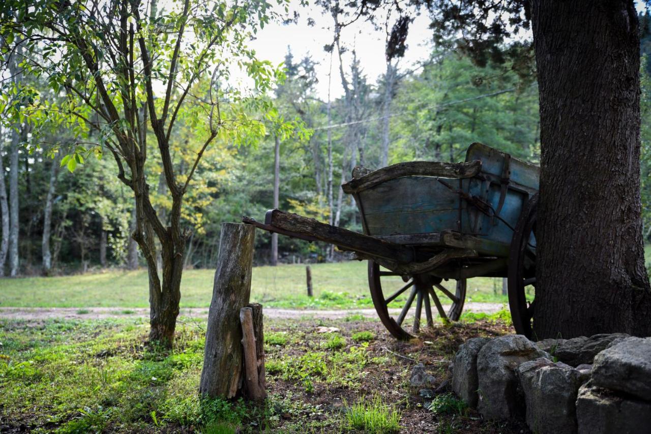 Domaine De Clarat Otel Lafarre  Dış mekan fotoğraf